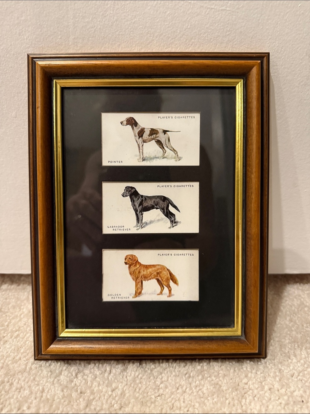 John Player Cigarette Dog Cards - framed vintage cards
